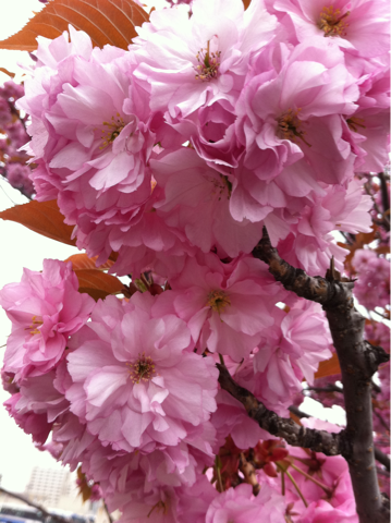 image-20110526160855.png