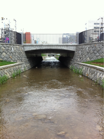 image-20110526161017.png